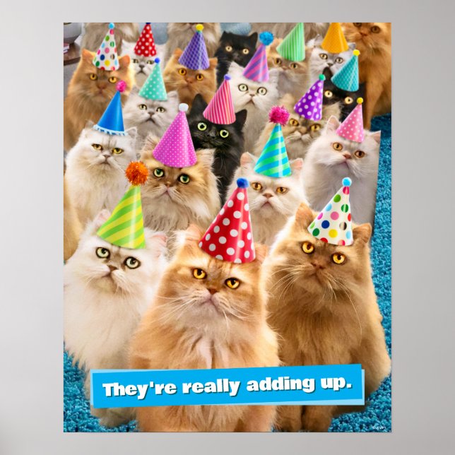 Cat Party Poster (Vorne)