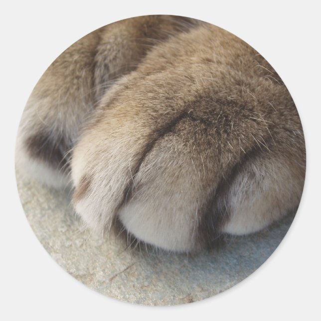 Cat Paw Stickers (Vorderseite)