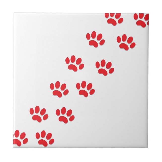 Cat Paws Feet Fliese (Vorderseite)