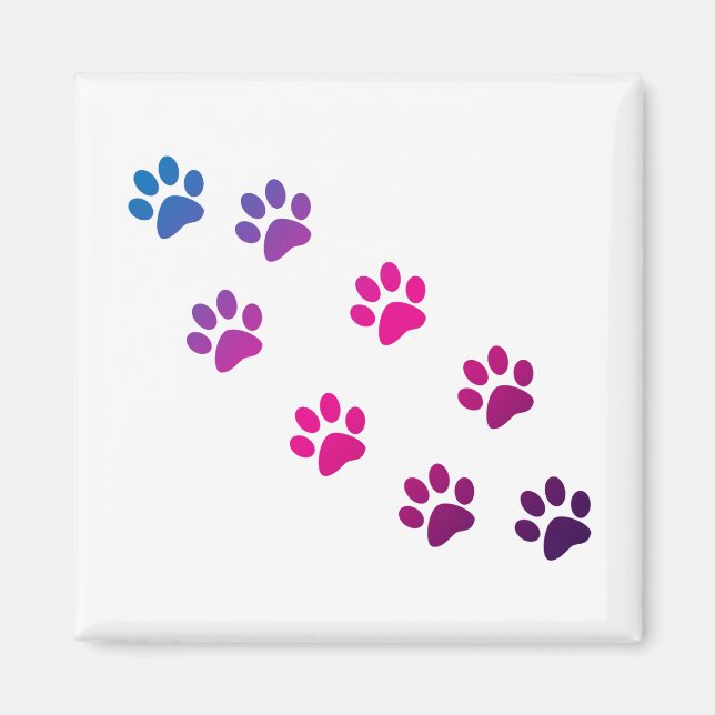 Cat Paws Magnet (Vorne)