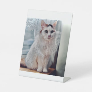 Cat Pedastal Sockelschild