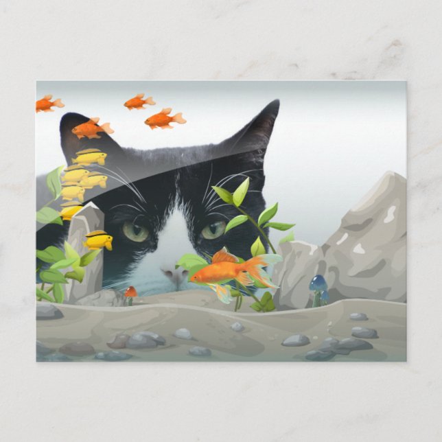 Cat Peering in Fish Tank Custom Foto Postkarte (Vorderseite)