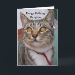 Cat Personalisiert Daughter Geburtstag Karte<br><div class="desc">Grußkarte Tabby Katz Tochter Geburtstagskarte. Passen Sie diese Geburtstagskarte mit jedem beliebigen Text an und lassen Sie sie dann ausdrucken und an Sie senden oder laden Sie sie sofort auf Ihr Mobiltelefon herunter. Wenn Sie Hilfe bei der Anpassung benötigen, kontaktieren Sie uns über den Link auf dieser Seite. Katze personalisierte...</div>