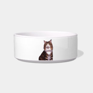 Cat Pet Bowl Napf
