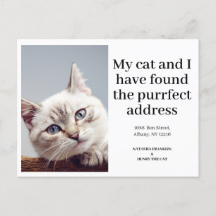 Cat Pet Foto Neue Adresse Moderne Moderne Ankündigungspostkarte