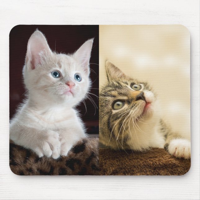 Cat Pet Foto Personalisiert Mousepad (Vorne)