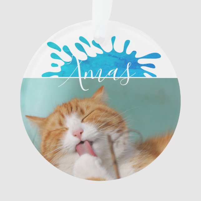 Cat Pet Foto Weihnachten Weihnachten Ornament (Vorderseite)