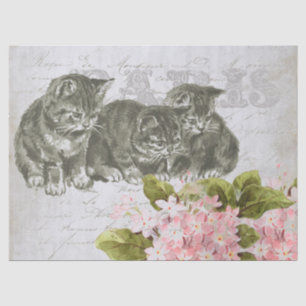 Cat Pink Blume Französisch Script Paris Decoupage Seidenpapier
