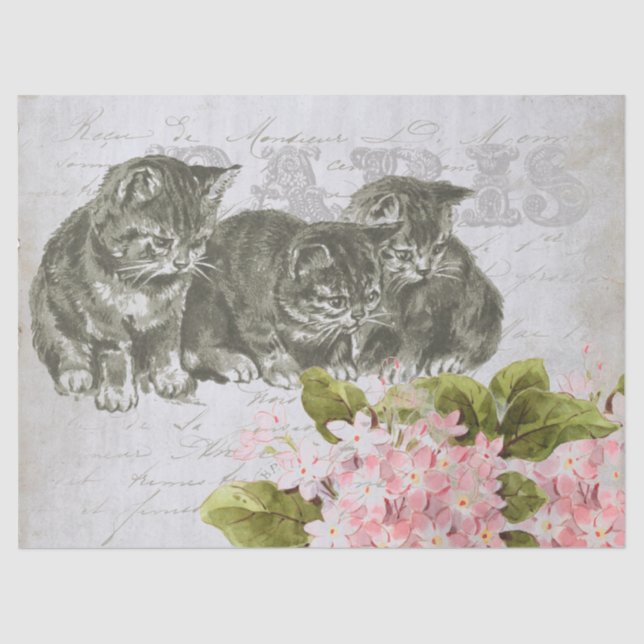 Cat Pink Blume Französisch Script Paris Decoupage Seidenpapier (Vorderseite)