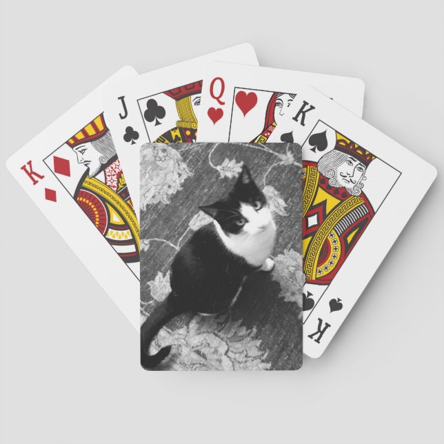 Cat Playing Cards Spielkarten (Rückseite)