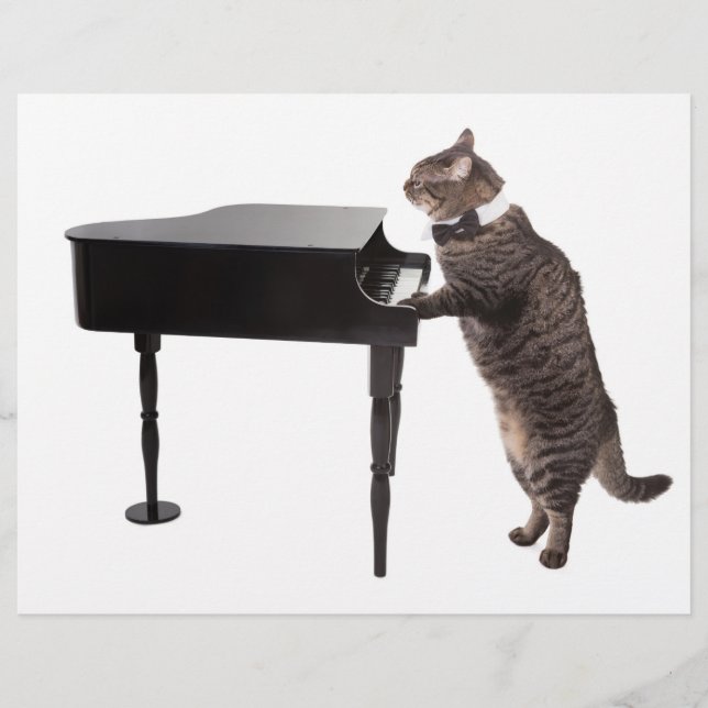 Cat Playing Piano Flyer (Vorne)