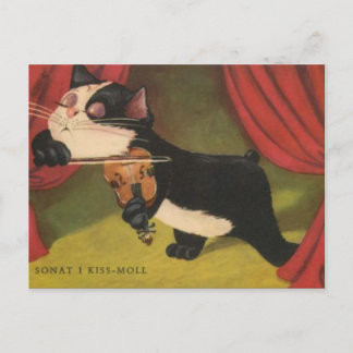 Cat Playing Sonet auf Violine ab 1909 PC Postkarte
