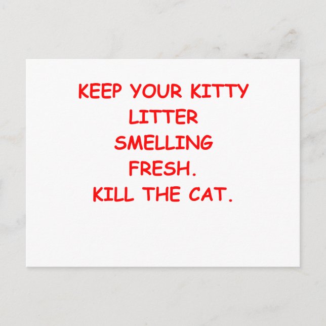 CAT.png Postkarte (Vorderseite)