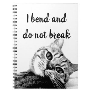 Cat Poets Jean de La Fontaine I bide nicht brechen Notizblock
