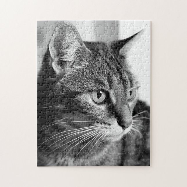 Cat-Portrait - der Denker (Vertikal)