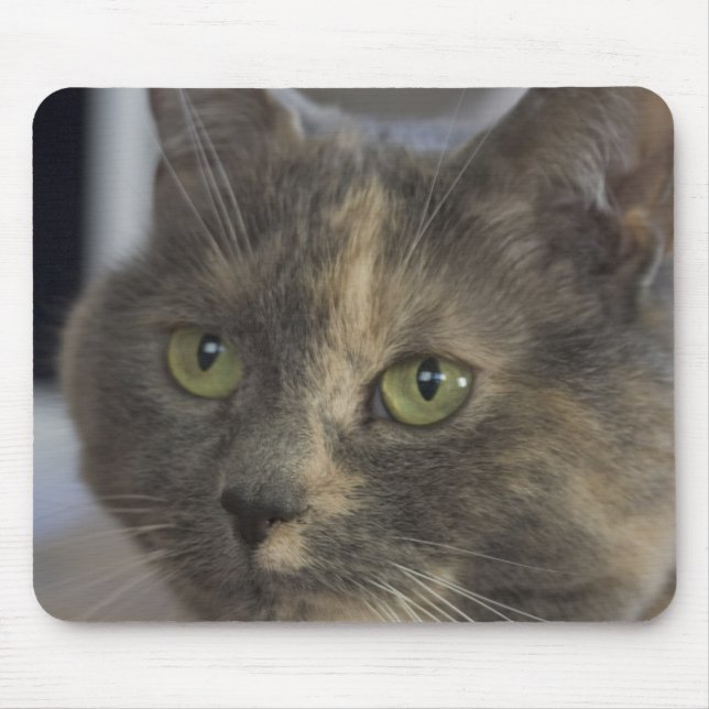 Cat Portrait Mousepad (Vorne)