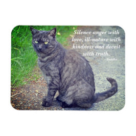 Cat posiing II Motivierend buddhistisches Zitat Magnet