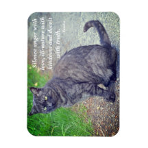 Cat posiing II Motivierend buddhistisches Zitat
