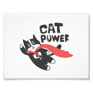 Cat Power - Hintergrundfarbe auswählen Fotodruck