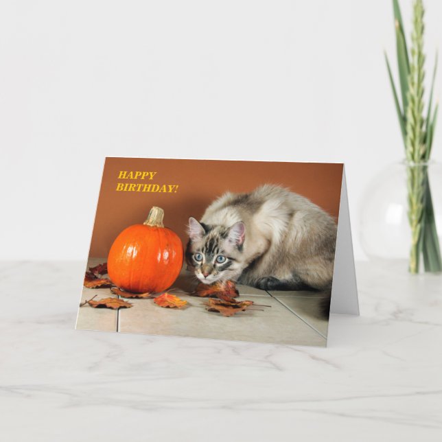 Cat & Pumpkin Birthday Card Karte (Vorderseite)