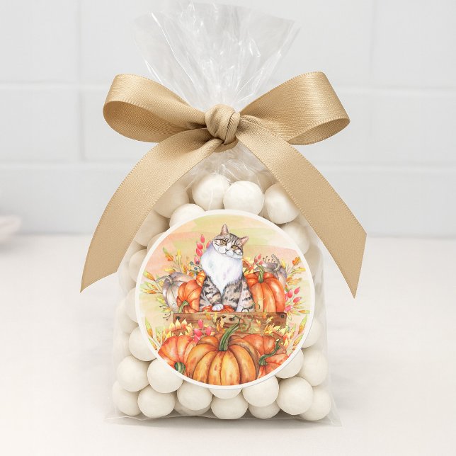 Cat Pumpkins Herbst Orange White Runder Aufkleber (Cat and pumpkins fall/autumn sticker for envelopes and favor bags)