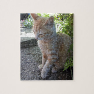 Cat Puzzle