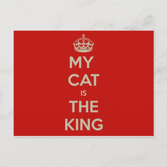 Cat Qoute Postkarte (Vorderseite)