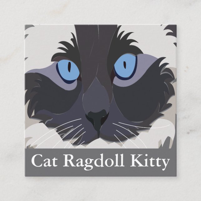 Cat Ragdoll Blue Eyes Kitty Quadratische Visitenkarte (Vorderseite)