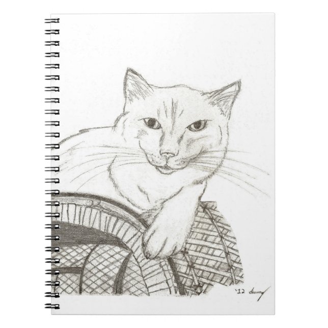 Cat Ragdoll Portrait-Notebook Notizblock (Vorderseite)