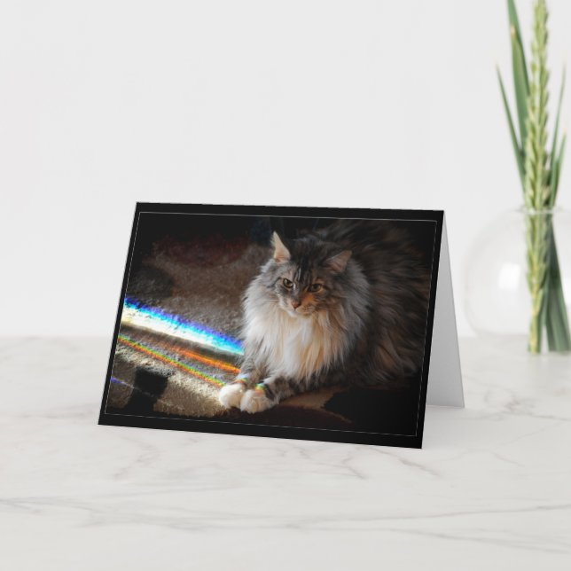 Cat Rainbow Bridge - Beileidsnote oder Gruß Karte (Vorderseite)