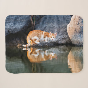 Cat Reflection in Pond Wasser Funny Kitten Foto .. Sherpadecke