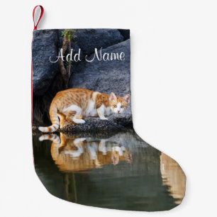 Cat Reflection in Pond Water Funny Foto - Kleiner Weihnachtsstrumpf