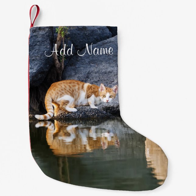 Cat Reflection in Pond Water Funny Foto - Kleiner Weihnachtsstrumpf (Vorderseite)