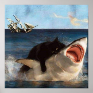 Cat Riding a Shark Poster