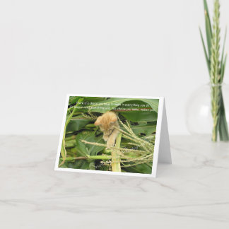 Cat’s Rule Blank Note Cards Dankeskarte