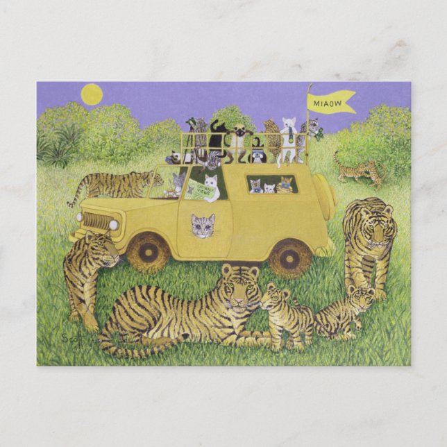 Cat Safari Postkarte (Vorderseite)