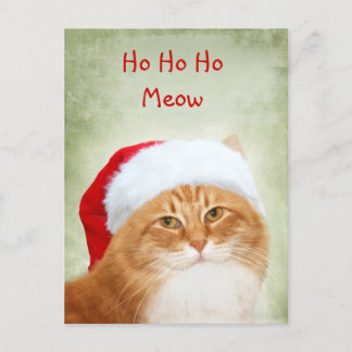Cat Santa Claus Feiertagspostkarte