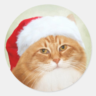 Cat Santa Claus Runder Aufkleber