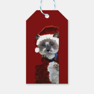 Cat Santa Claws Christmas Maureen Girard Blue Eye Geschenkanhänger