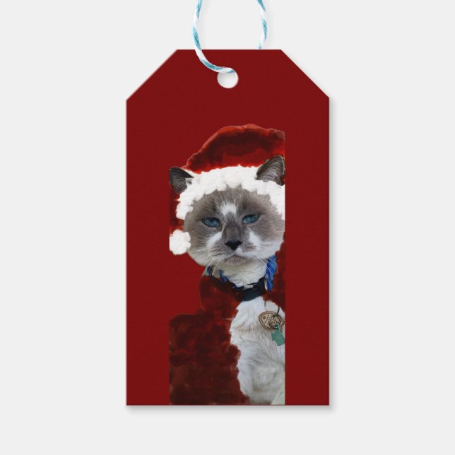 Cat Santa Claws Christmas Maureen Girard Blue Eye  Geschenkanhänger (Vorderseite)