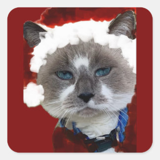 Cat Santa Claws Christmas Maureen Girard Blue Eye Quadratischer Aufkleber