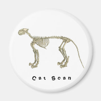 Cat Scan Skeleton Magnet