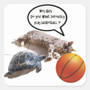 CAT-SCHILDKRÖTE UND -BASKETBALL QUADRATISCHER AUFKLEBER