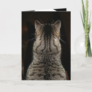 Cat schreien "ÜBERRASCHEN! HAPPY BIRTHDAY"-Karte Karte