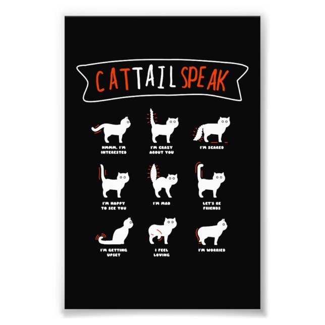 Cat Schwanz Speak Cat Kitten Meow Tier Fotodruck (Vorne)