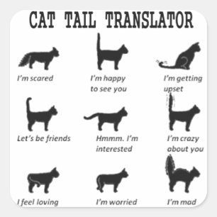 CAT SCHWANZ TRANSLATOR SQUARE STICKER