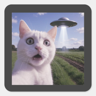 Cat Selfie mit Alien Ufo Quadratischer Aufkleber