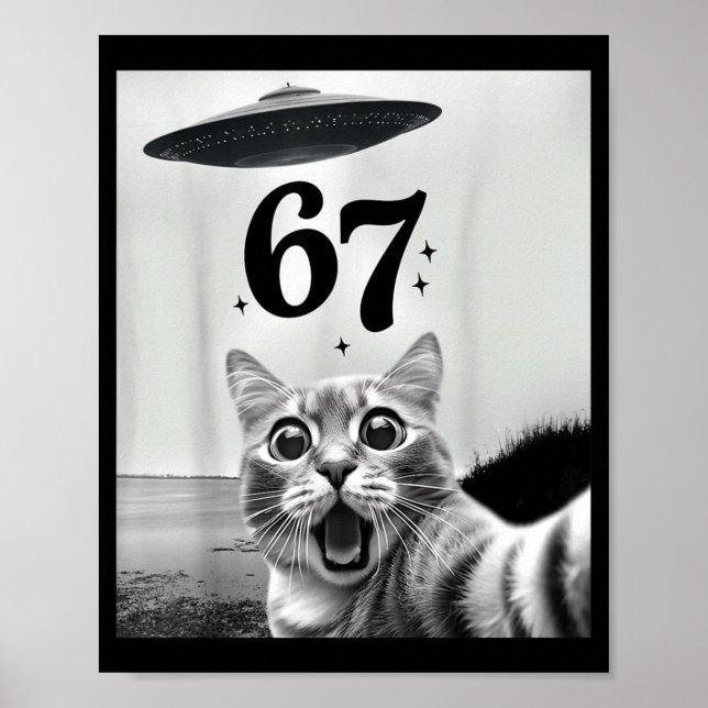 Cat Selfie With Alien Ufo And 67 Funny 6 7 For Men Poster (Vorne)