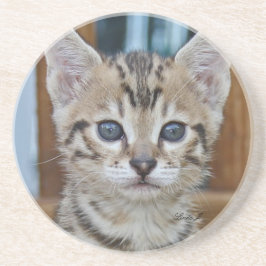 Cat Series - Serval Savannah Cat - Untersetzer