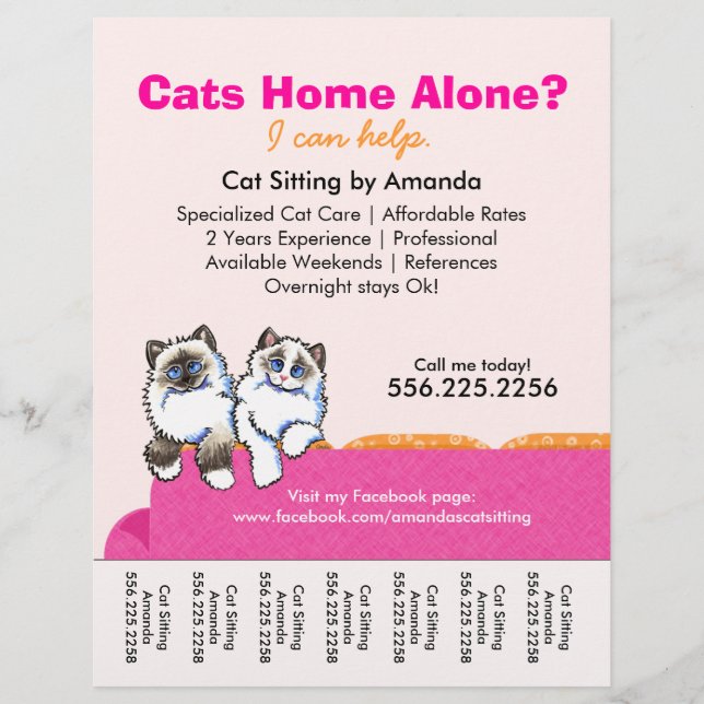 Cat Sitter und Ragdoll Pink Couch Reißverschluss Flyer (Vorne)